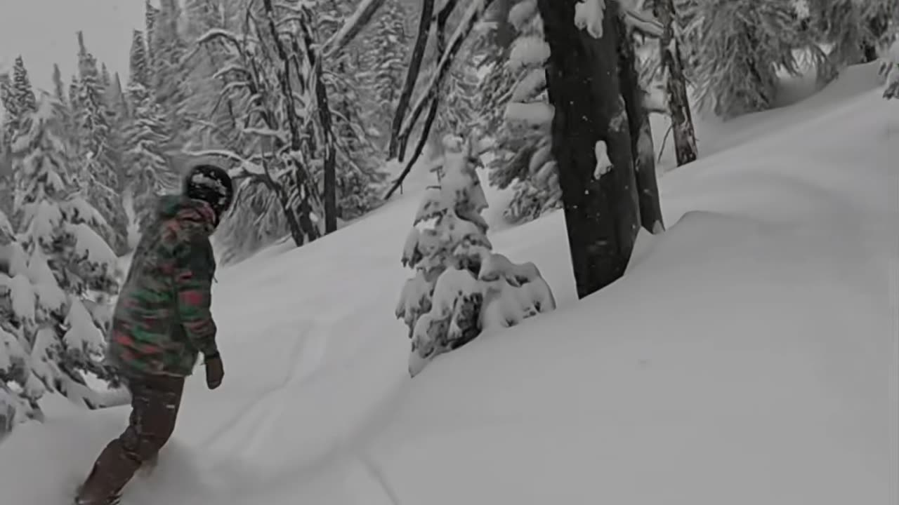 Your Average Powder Day