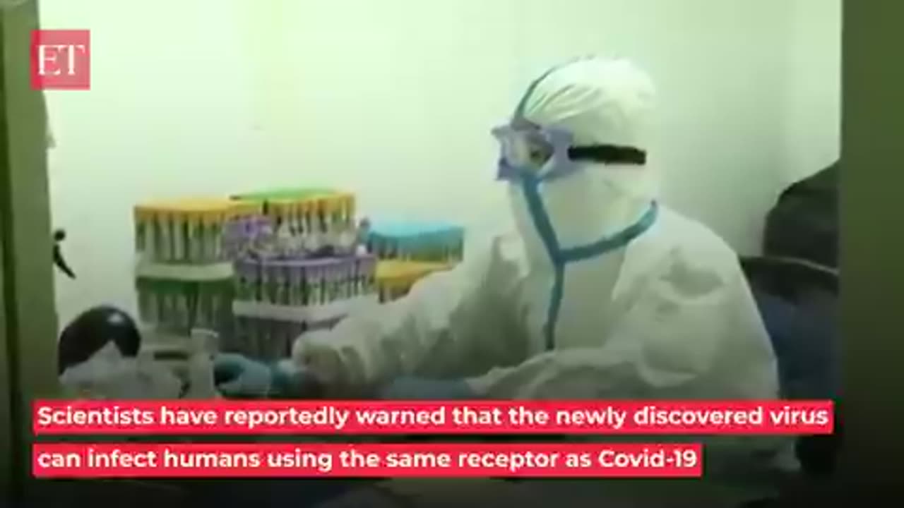 A new coronavirus with "pandemic potential" has just been discovered in China,