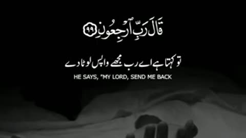 #*Heart Touching Quranic Recitation | Short Quranic Tilawat Whatsapp Status | Hafiz Musharraf Shahat