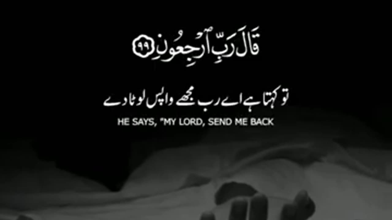 #*Heart Touching Quranic Recitation | Short Quranic Tilawat Whatsapp Status | Hafiz Musharraf Shahat