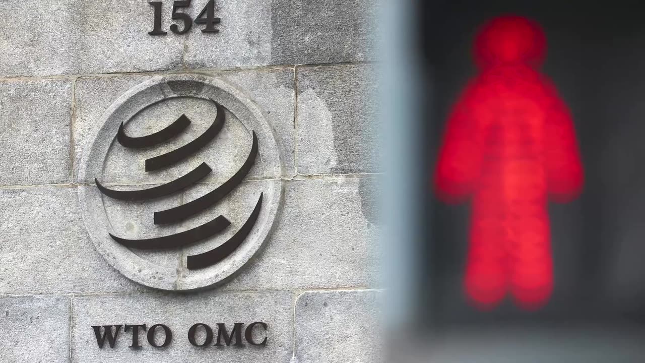 US suspends financial contributions to WTO, sources say