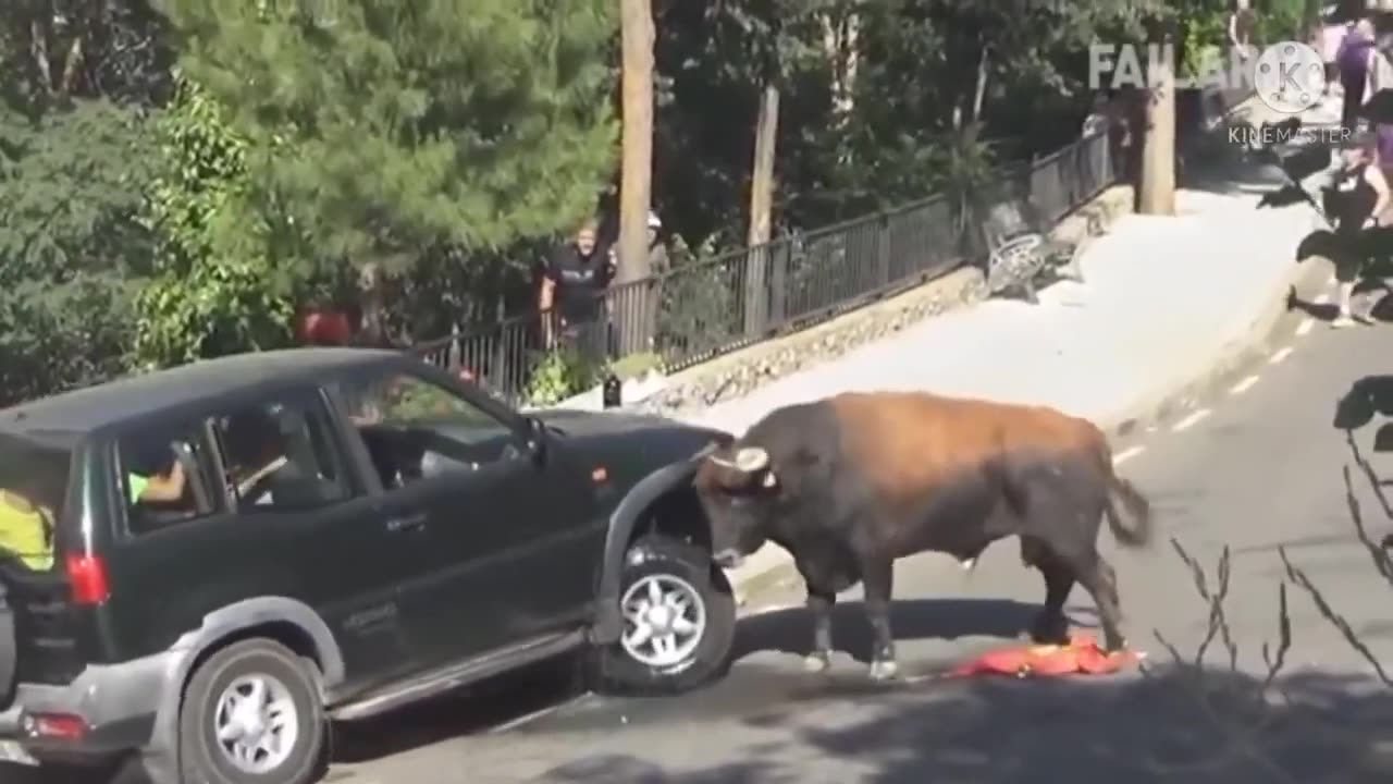 Bull vs. Car – Who Wins? 🚗🐂💥