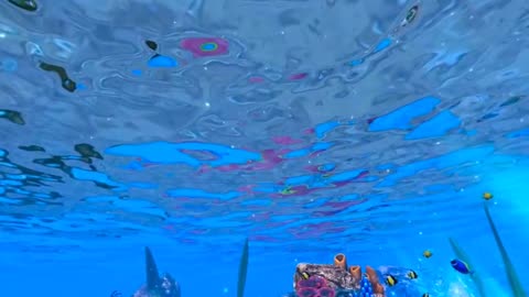 360 VR - 'Underwater Universe -