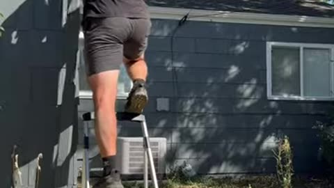 Dog gets payback on owner!! _dogsofyoutube