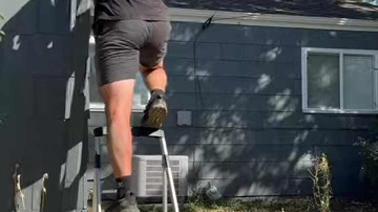 Dog gets payback on owner!! _dogsofyoutube