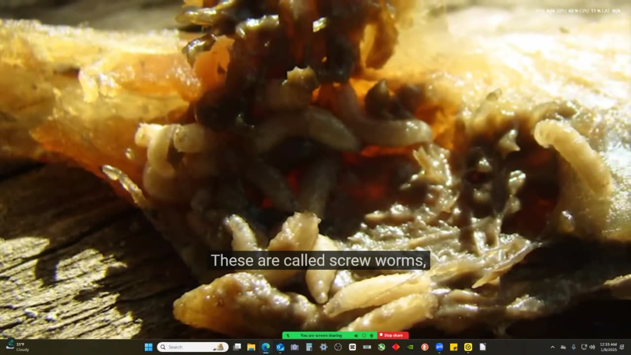 Damn these are scary the most high Yahawah has terrible methods of judgement peep this