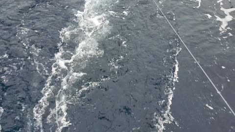 Albacore Trolling - F/V Skookumchuck Pisces - Oregon Coast - Chris Miller - 08092018