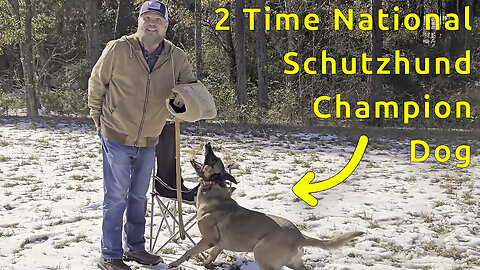 I got bitten by a 2 time NATIONAL CHAMPION of Schutzhund!!