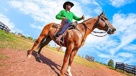 FUI FAZER UM TEST- DRIVE NESSE CAVALO PARA COMPRAR, GOSTEEI