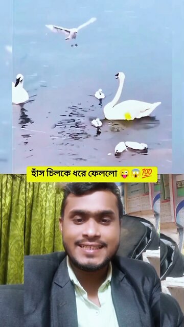 হাঁস চিলকে ধরে ফেললো 😜😱💯 #shorts #viral #funny #amazing