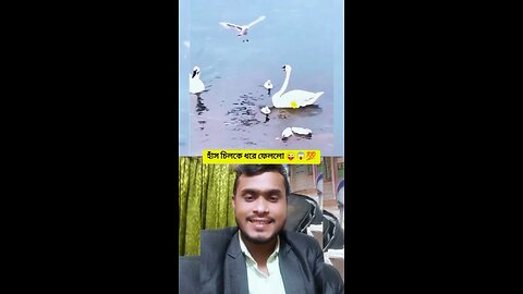 হাঁস চিলকে ধরে ফেললো 😜😱💯 #shorts #viral #funny #amazing