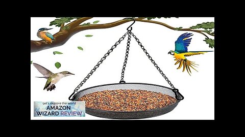 Hanging Bird Feeder Bird Feeder Hanging for Garden Yard Outside Hanging Bird Review