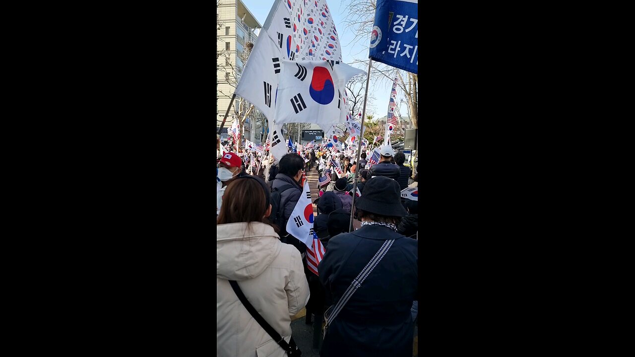 계엄해~야 살 수 았어! 헌재 앞. 250313