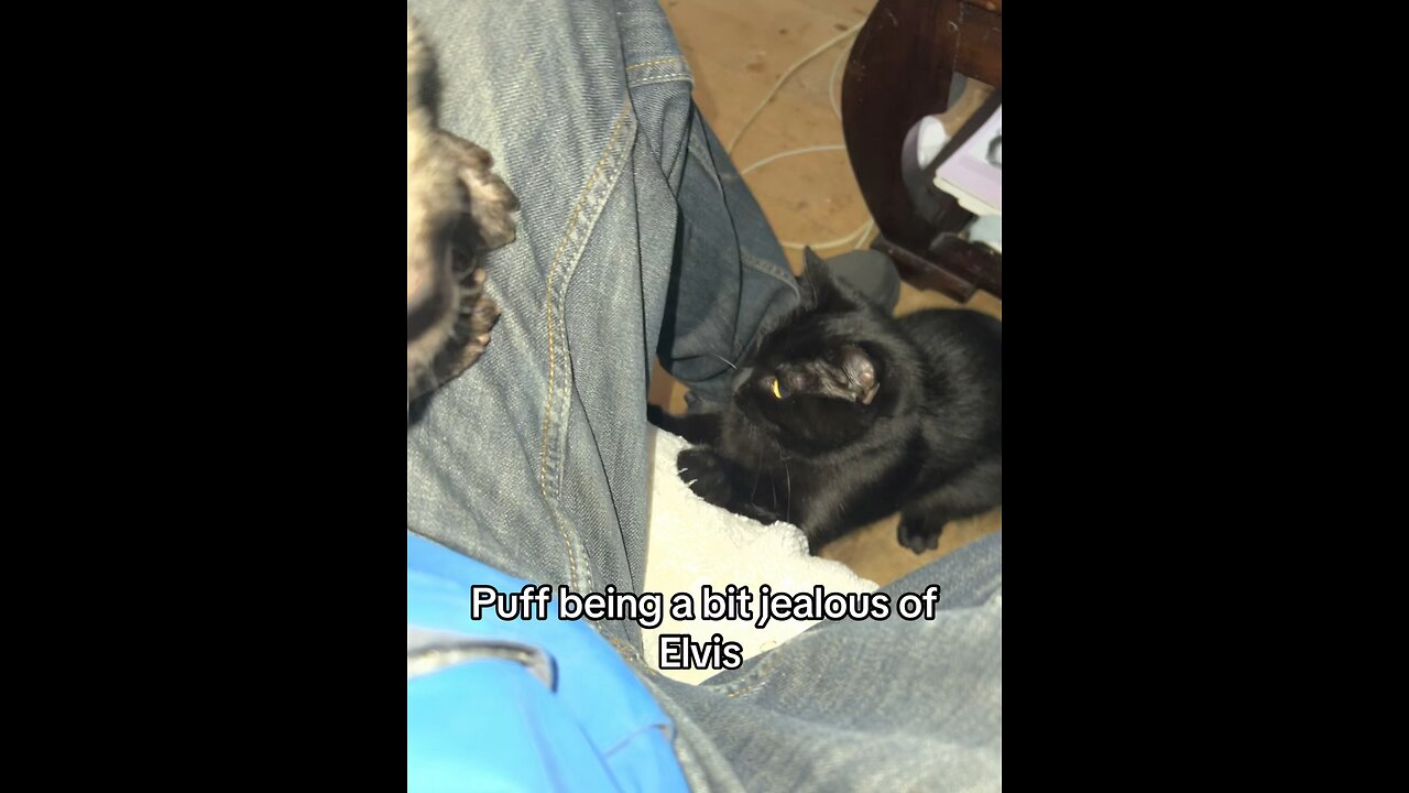Elvis and puff