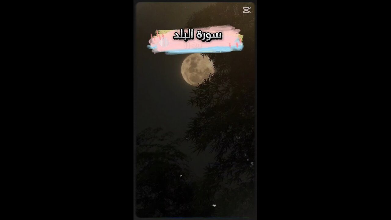 MASHAALLAH QUR'AN Recitation ♥️