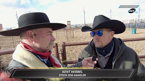 INSIDE THE NATIONAL WESTERN STOCK SHOW: STOCK DOG COMPETITIONS AND THE HANDLERS WHO MAKE IT HAPPEN