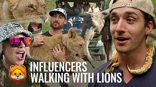 Walking with Lions & Facing Africa’s Wild Side | Safari Adventure with the Grid Championship Crew!