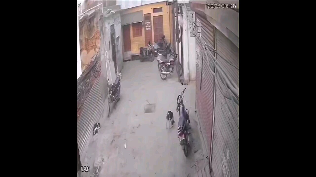 karma