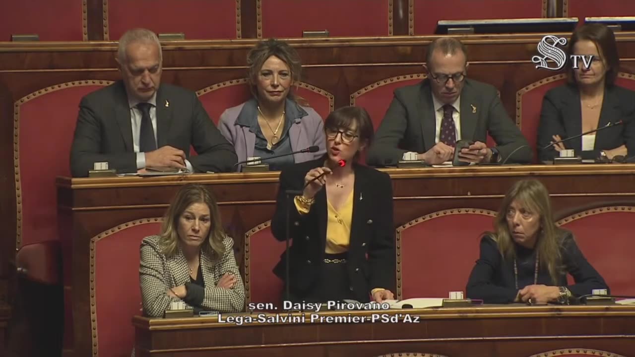 Daisy Pirovano - Intervento in Senato (29.01.25)