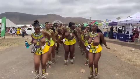 zulu girls dance : cultural ceremony