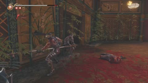 Ninja Gaiden 2 Black PARTE =_23