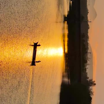 The railway line runs in a beautiful natural environment video 2025 skc.com 46