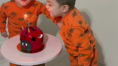 Twins Tussle Over Birthday Candle