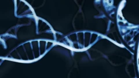 THE POWER OF HUMAN DNA