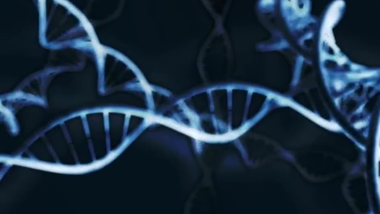 THE POWER OF HUMAN DNA