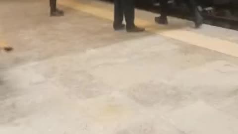 Tiros na estação provocam pânico