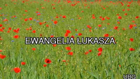 Nowy Testament - 3. UBG - Ewangelia Łukasza