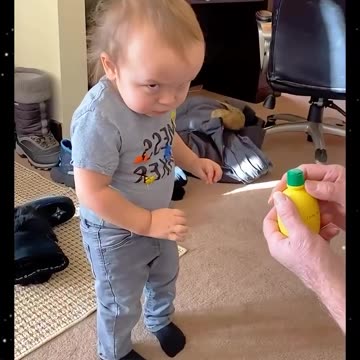 Funniest Video Compilation | Try Not to Laugh! 😂