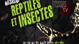 Bande Annonce 56 - Frissons TV - Week End Serpent et Insectes