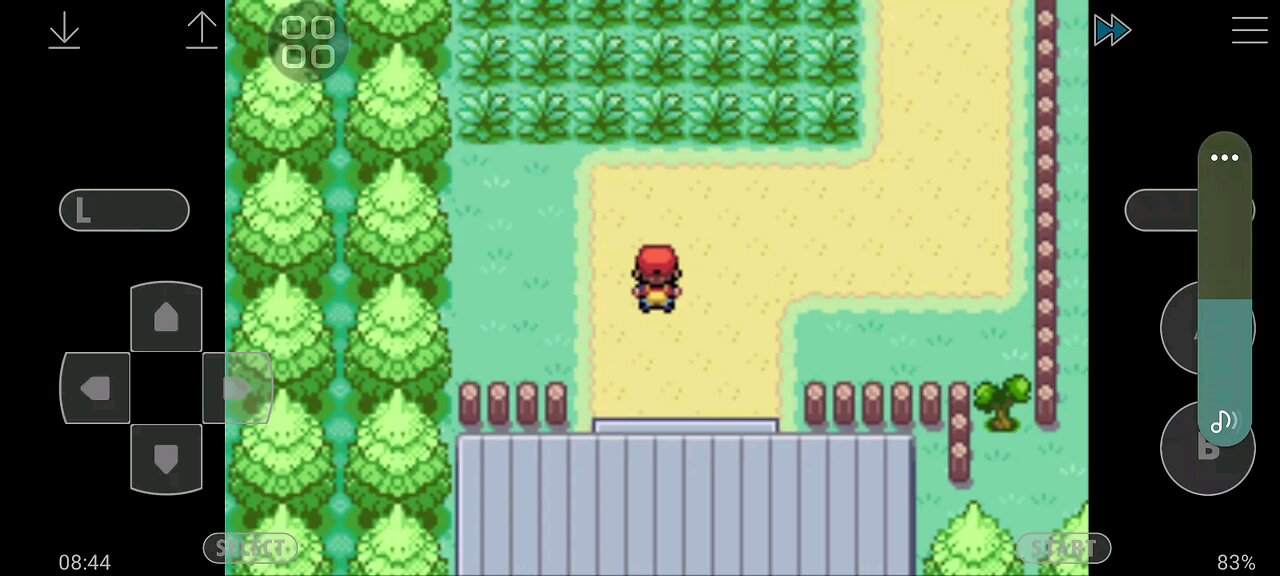 Pokemon Fire Red Walkthrough Gameplay Part 1 🔥🗿