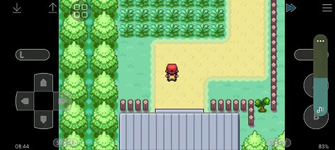 Pokemon Fire Red Walkthrough Gameplay Part 1 🔥🗿