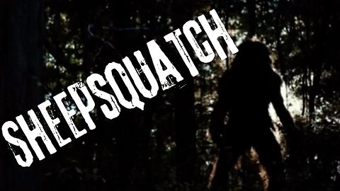 Sheepsquatch