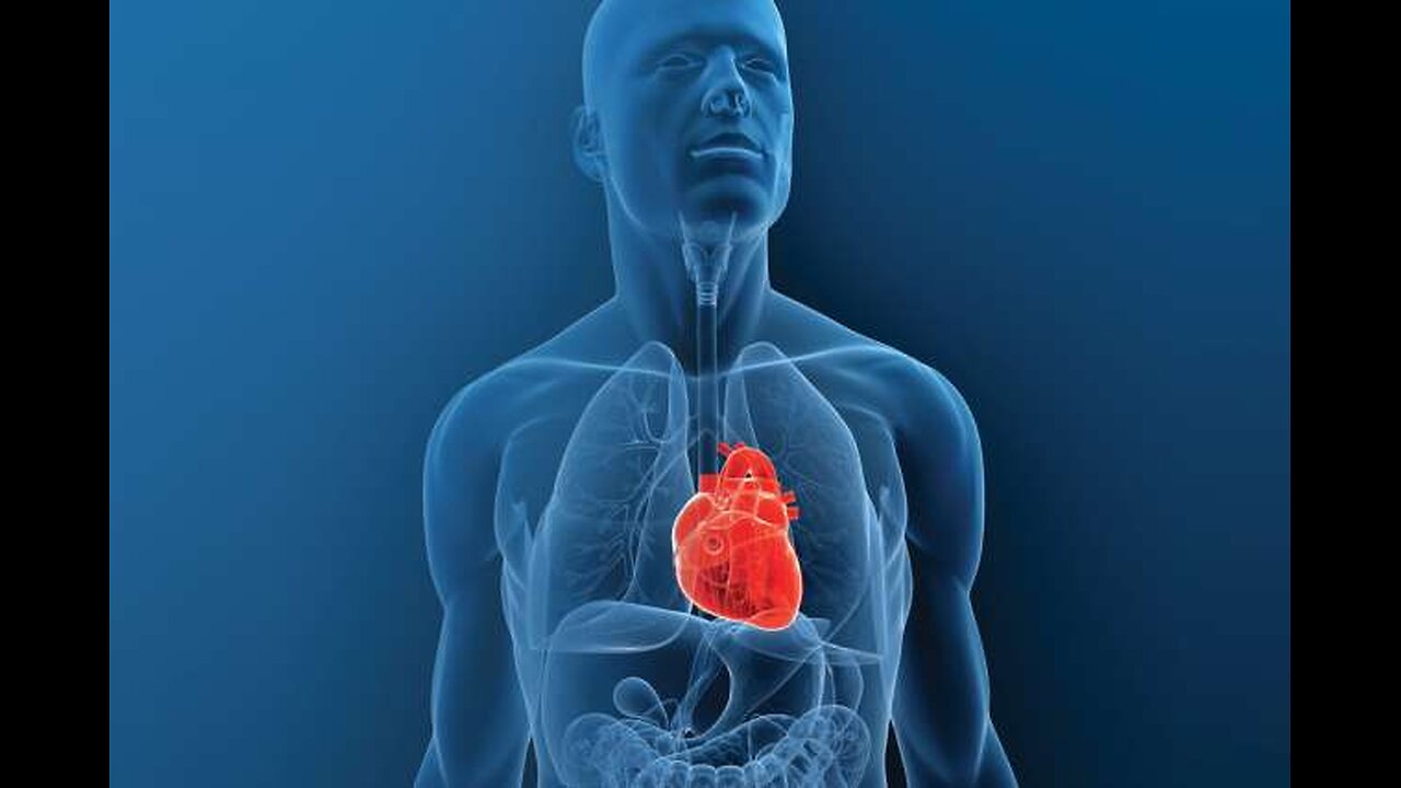 (HIPS) TRANSPLANT RECIPIENTS INHERIT MANY OF THE MEMORIES AND PERSONAL PREFERANCES OF THEIR DONOR