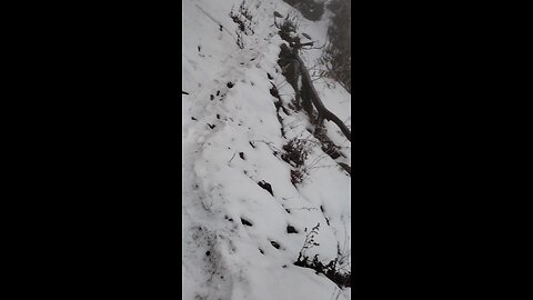 hike in the snow 🥶