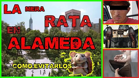 ESTAFAS Y ABUSOS EN LA ALAMEDA CENTRAL | en CIUDAD DE MÉXICO