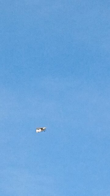 drac democrats aerially attacking civilians