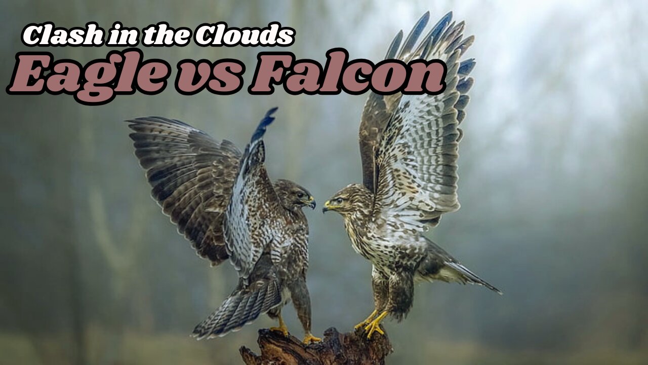 Sky Battle: Eagle vs Falcon - Epic Aerial Dogfight! | #animals #facts #viral