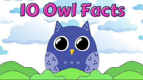 10 Owl Facts for Kids