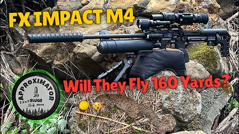 Getting Frisky, Going Long.. The 31gr Slug & Impact M4