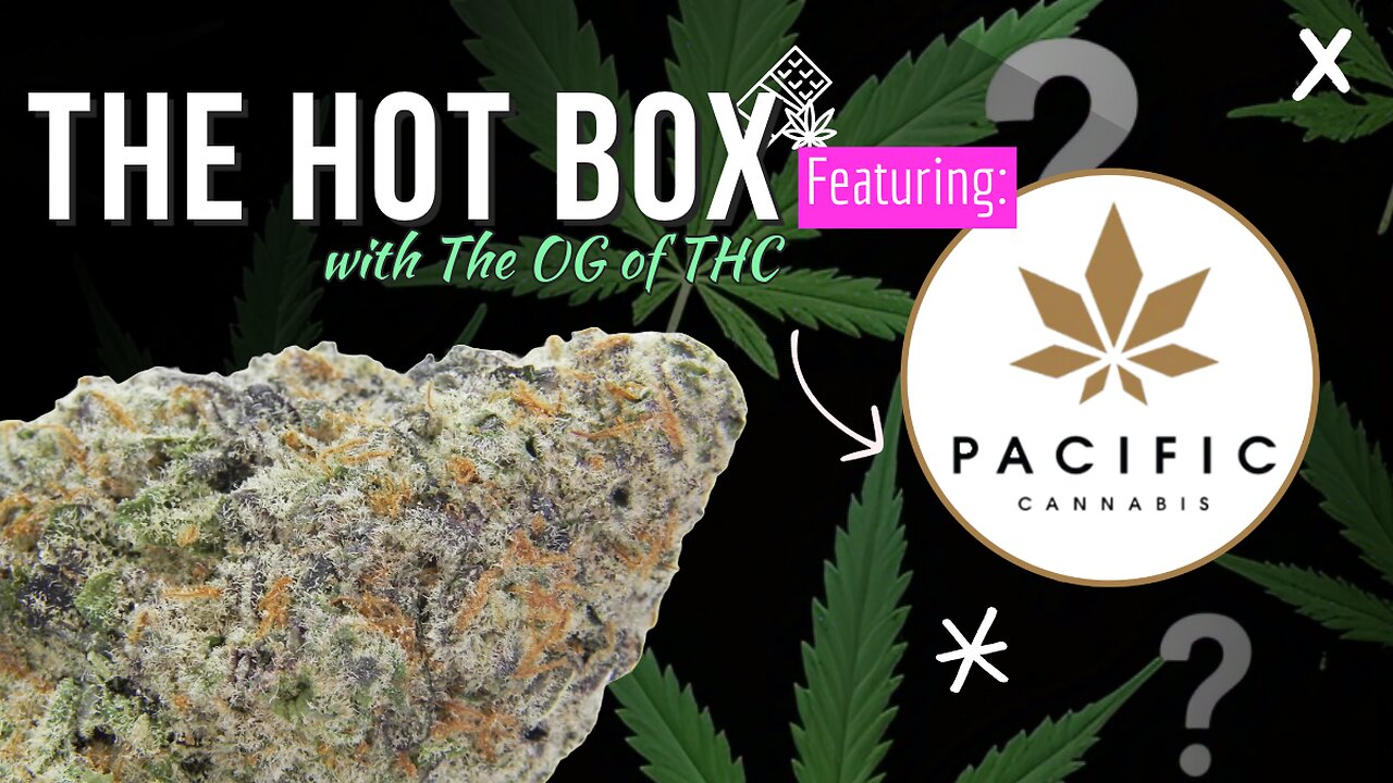 NEW DABS & TOP SHELF STRAINS| THE HOT BOX: PACIFIC CANNABIS