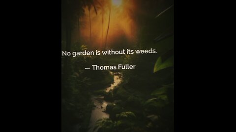 Your Qoute For A Day 264