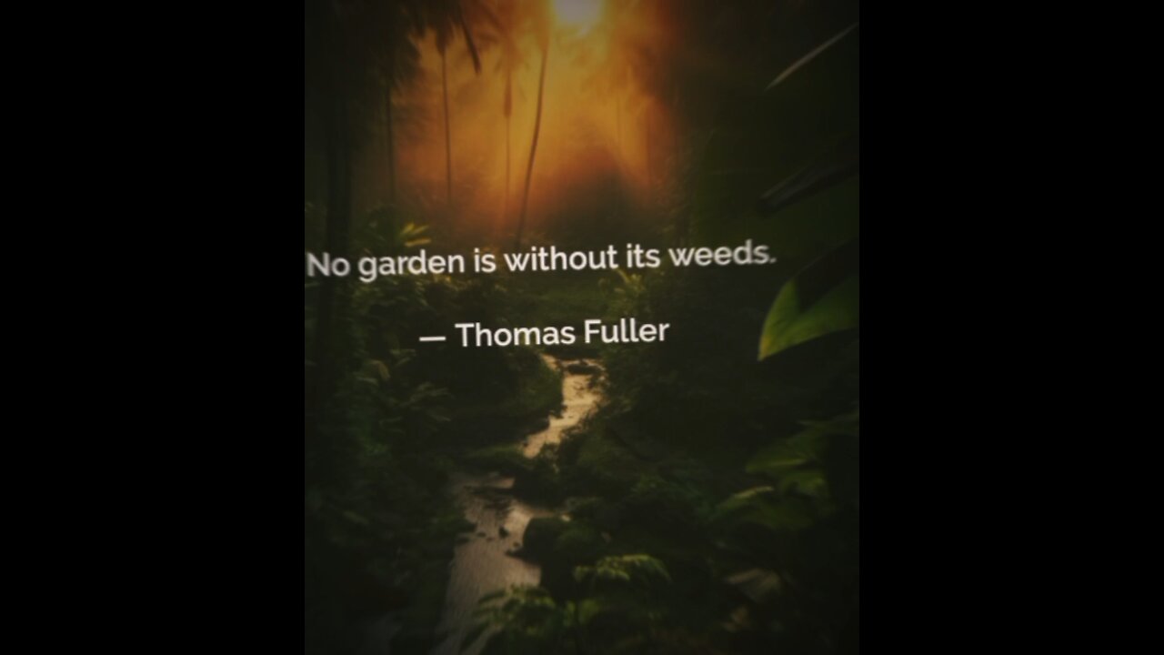Your Qoute For A Day 264