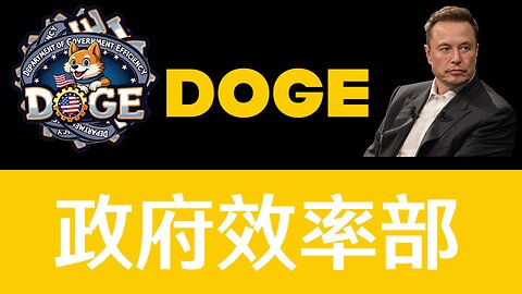 【DOGE】到底是怎样的存在？马斯克在干什么？5分钟全面了解最有争议的部门 | 深度介绍DOGE