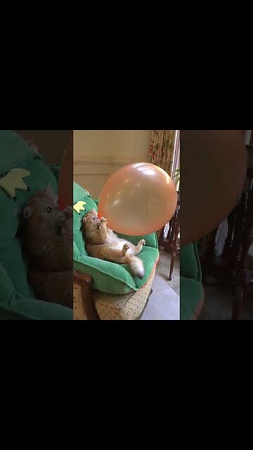 When store's stop selling classic games