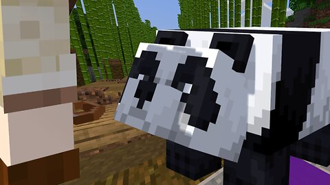 Saving the MISSING Pandas in Minecraft! [Catastrophic Pandamonium]