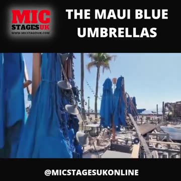 “Basically this bank of umbrellas remained in tact - I don’t know how this is possible”